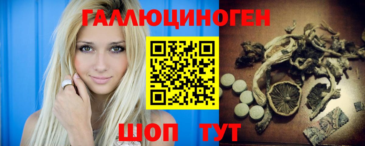 Гудермес  Галлюциногенные грибы мицелий  Вход с VPN  Псилоцибиновые грибы Psilocybine cubensis 