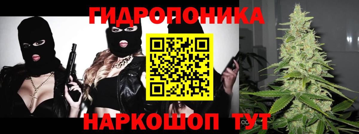 МАРИХУАНА Bruce Banner  Марихуана тримм  Вход с VPN  Гудермес  Каннабис Ganja  Канабис OG Kush 
